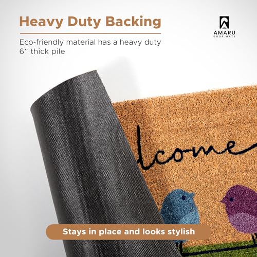 Colorful Birds Coir Welcome Mat, 17 x 29 Inch Non-Slip Entryway Door Mat