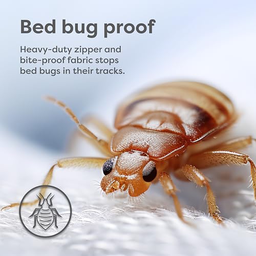 Hospitology Queen Box Spring Encasement - Zippered Bed Bug Cover