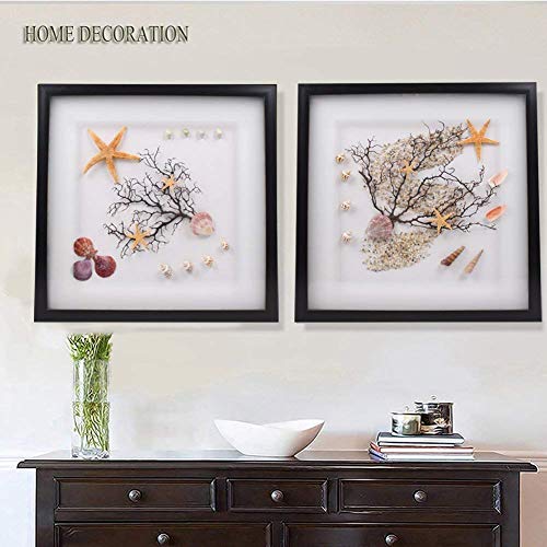 Natural Mixed Sea Shells and Starfish Set for Crafts, Vase Filler & Beach Decor