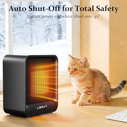 Portable Mini Space Heater 500W Electric Desk Heater with Safety Protection