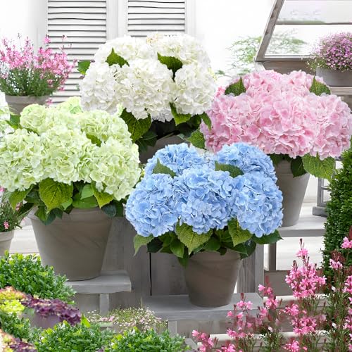 21" Real Touch Hydrangea Artificial Flowers - 3 Pcs Latex Faux Floral Arrangements for Home Decor, Weddings, and Parties