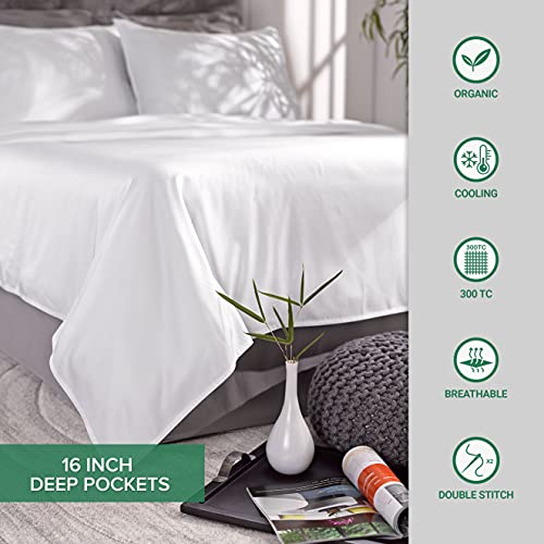 100% Organic Viscose Bamboo Queen Pillowcases, Cooling & Soft, 2-Piece Set