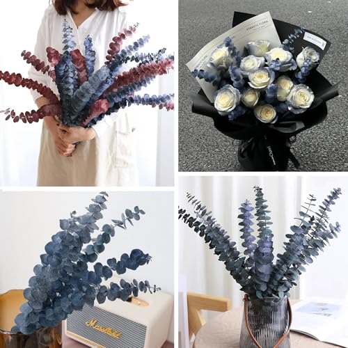 26Pcs Preserved Dried Eucalyptus Stems, 17-Inch Natural Blue-Green Bundle