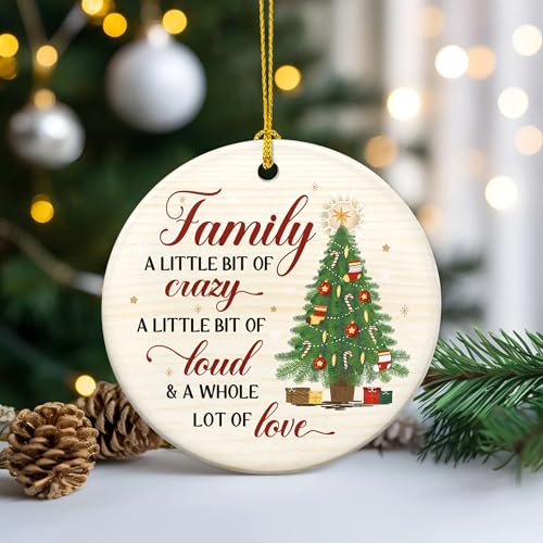 Funny Family Christmas Ornament 2026 - Ceramic Holiday Keepsake Gift