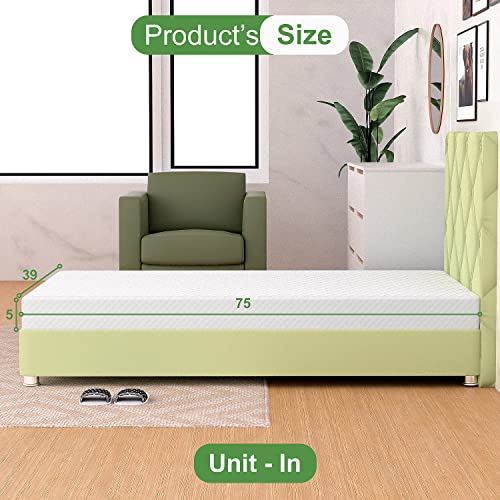 FDW 5 Inch Twin Gel Memory Foam Mattress Medium Firm Bed in a Box