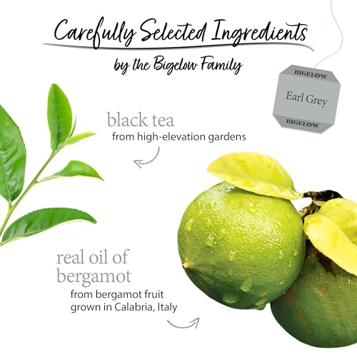 Earl Grey Caffeinated Black Tea Bags - Individually Wrapped (100 Count)