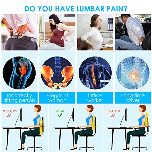 Ergonomic Lumbar Support Pillow for Office Chair & Car