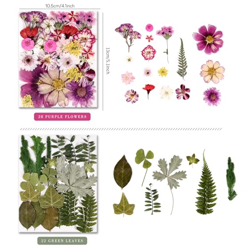 110 Pcs Real Dried Pressed Flowers & Leaves Set for Resin Crafts & DIY