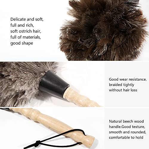 14-Inch Natural Ostrich Feather Duster with Wooden Handle & Hanging Loop