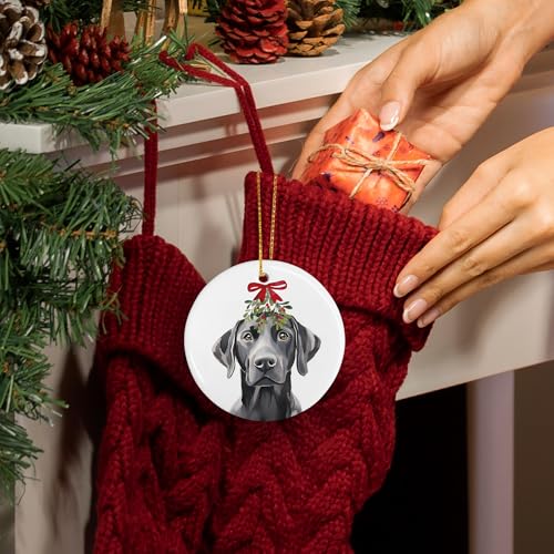 DIENADFX Labrador Mistletoe Ceramic Christmas Ornament – Black Labrador Gift, Double-Sided 3"