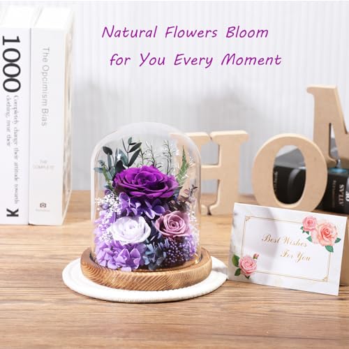 Preserved Purple Rose in Glass Dome with LED Lights - Eternal Flower Gift