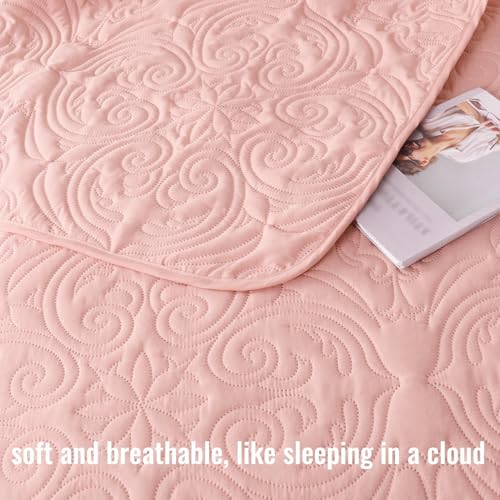 Exclusivo Mezcla Queen Quilt Bedding Set - 3 Piece Blush Pink Coverlet