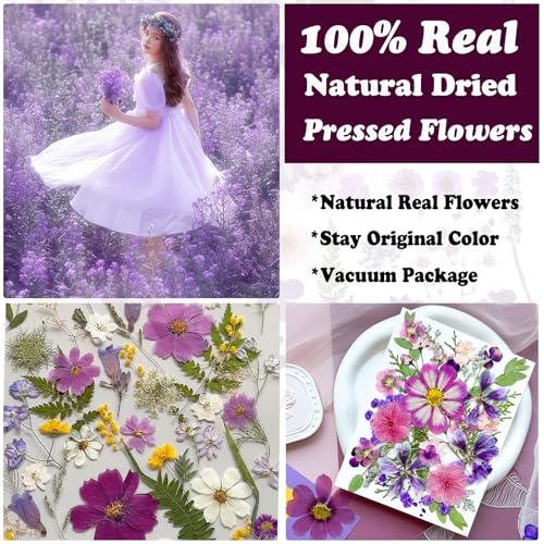 35 Pcs Real Purple Pressed Dried Flowers & Leaves for DIY Resin Crafts