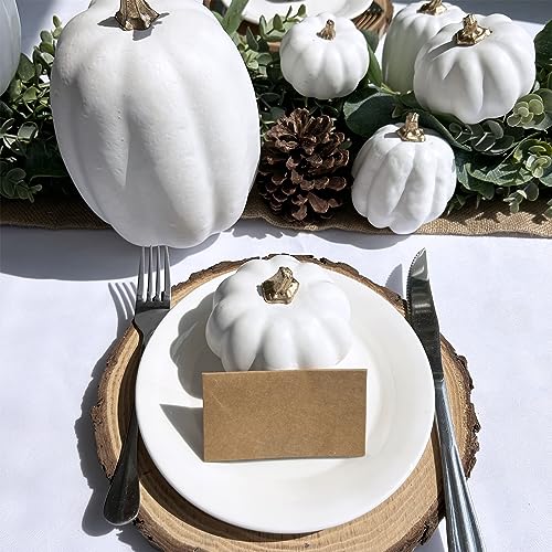 10 Pcs Assorted Artificial White Foam Pumpkins for Fall Home Decor
