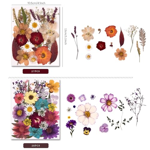 Pressed Dried Flowers and Leaves Set with Tweezers - 140 Pcs for Resin Art