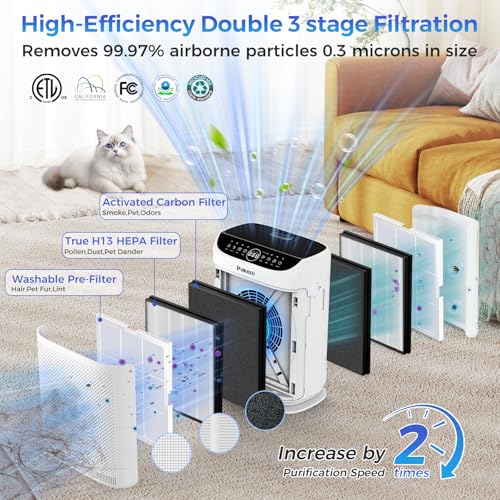 Large Room HEPA Air Purifier with Dual Air Intake and Sleep Mode