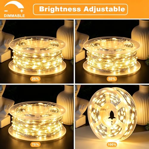 2-Pack Battery Operated Warm White LED Fairy Lights with Remote (33ft)