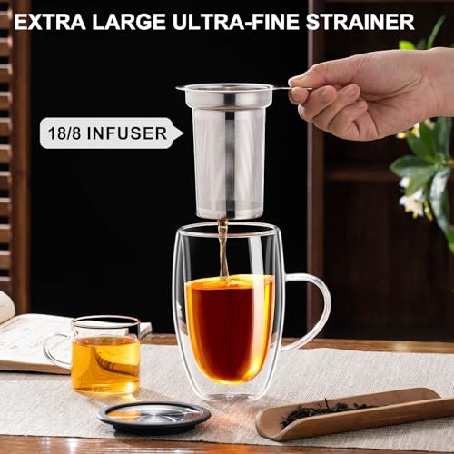 Baalaka 16 fl oz Double-Wall Glass Tea Mug with Infuser & Lid