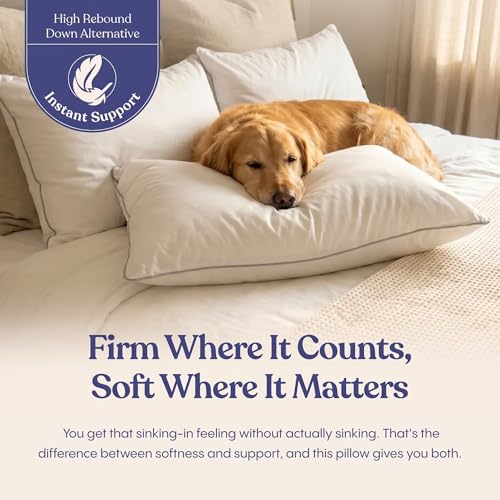 Queen Size Down Alternative Bed Pillow - Soft Cotton Shell