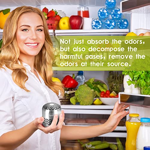 Purriko Refrigerator Deodorizer & Long-Lasting Stainless Steel Odor Eliminator