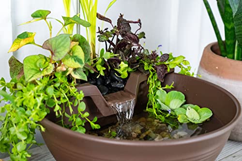 Tabletop Water Garden Fountain Kit with LED Lights - Mocha