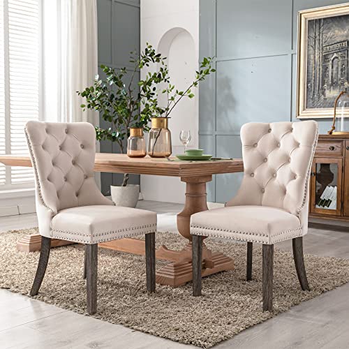 Velvet Upholstered Dining Chairs with Nailhead Trim, Set of 4, Beige