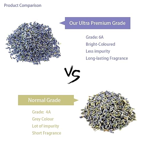 2 lbs Dried Lavender Buds - Ultra Blue Natural Culinary Grade Flowers