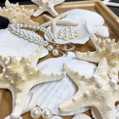 16-Piece Natural Starfish & Scallop Shells with Pearls (3-4 Inch) for Crafts