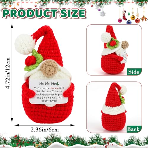 Holly the Xmas Gnome Christmas Crochet Decoration - Inspirational Holiday Gift for Women