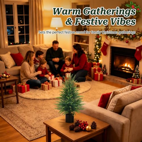 Yangrass 2 Pack 2FT Artificial Cedar Topiary Trees with Pots for Outdoor Front Porch