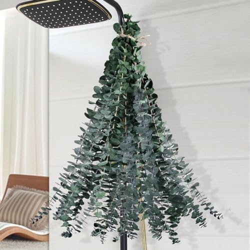 12-Pack Real Preserved Eucalyptus Stems (17") for Shower & Home Decor