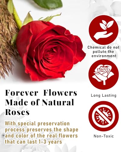 16 Preserved Roses in Heart-Shaped Gift Box - Real Eternal Flowers for Her