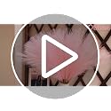 50pcs Pink Artificial Pampas Grass, 21.6-Inch Faux Floral Branches