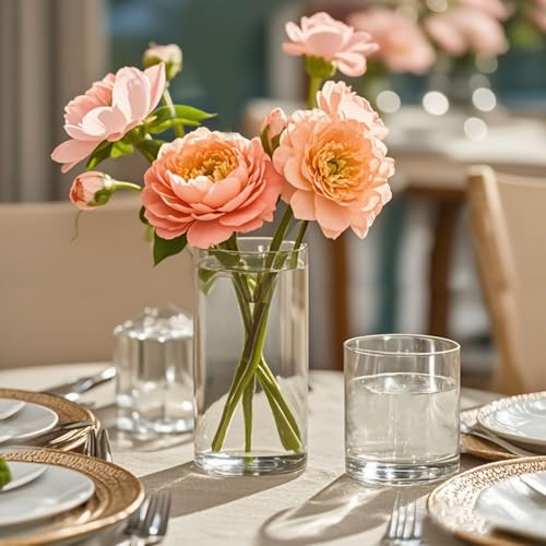 12 Pack Clear Glass Cylinder Vases 6 Inch - Centerpieces for Wedding & Home