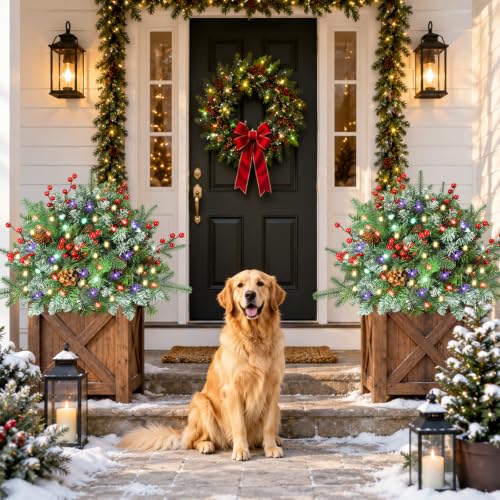 ENVEN Prelit Outdoor Christmas Urn Filler with 70 Multicolor LEDs - Outdoor Pathway & Porch Tree (2-pack) with Timer