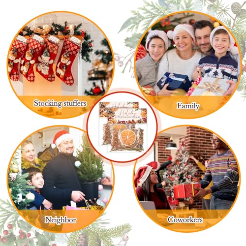 6 Pack Holiday Simmer Pot Kit - Natural Christmas Potpourri Gift Set