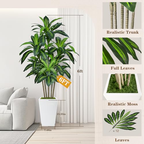 6FT Artificial Dracaena Tree in White Planter - Realistic Indoor Plant
