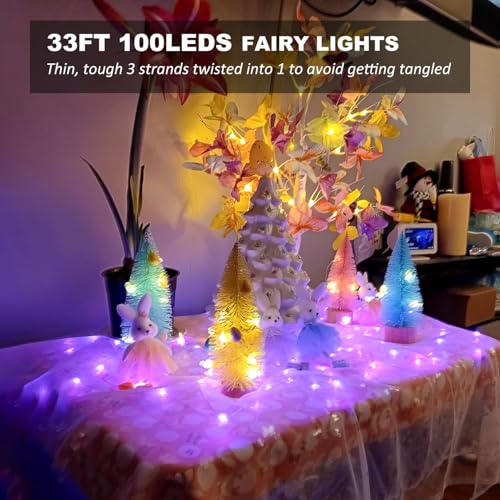 Homestarry USB Color Changing Fairy Lights 33ft 100 LEDs with Remote