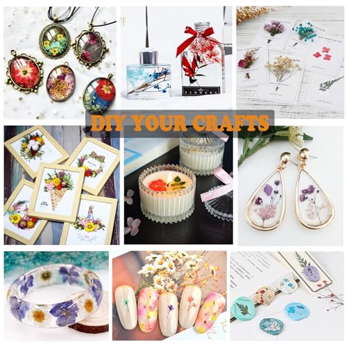 99Pcs Pressed Dried Flowers and Butterfly Stickers for Resin and Crafts