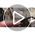 Replacement Masticating Juicer Auger Screw for Slow Juicer Models