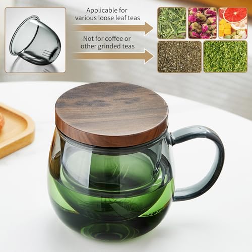DOPUDO 17 oz Glass Teacup with Infuser and Lid, Borosilicate Tea Mug 500 ml