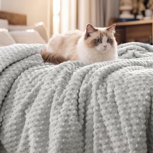 PHF Twin Size Fleece Blanket 66x90 Light Grey 340GSM Plush & Warm