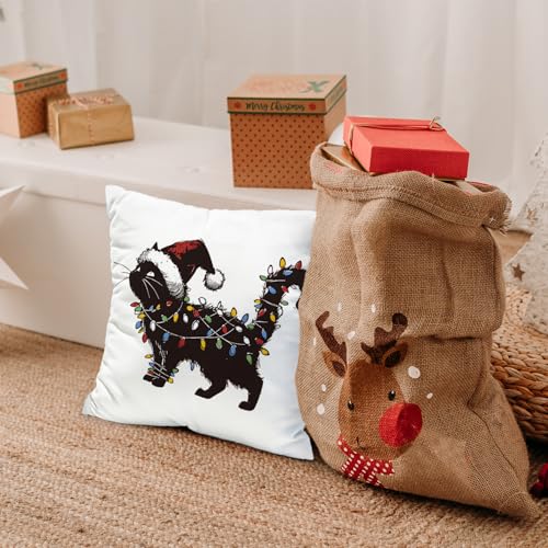 NaZaUK Black Cat Christmas Pillow Covers 18x18 - Cat Variation, Winter Holiday Decorative Cushions