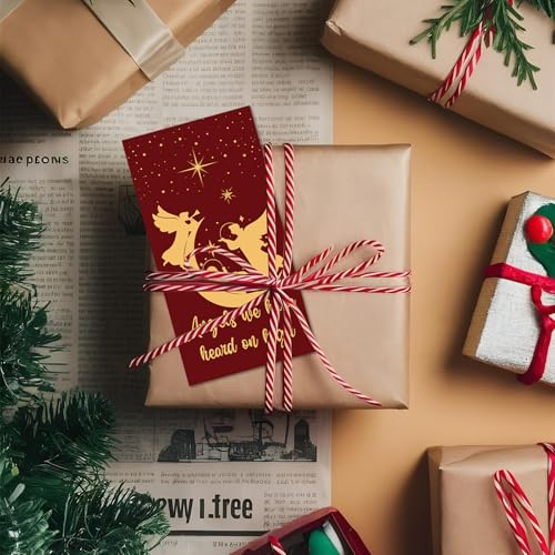 Mczan 24-Pack Nativity Christmas Money Cards with Envelopes & Stickers