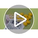 20Pcs Yellow Artificial Lemon Decor for Home & Party