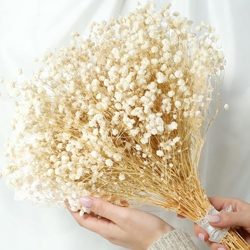 Dried Baby's Breath Flowers, 17-Inch Natural Ivory White Gypsophila Bouquet