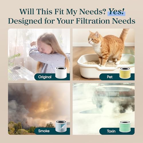 Air Purifier Replacement Filter 2-Pack with Activated Carbon & HEPA