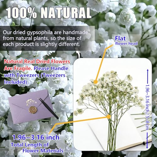 56 Pcs Natural Dried Baby's Breath Pressed Flowers for DIY Crafts & Resin Art