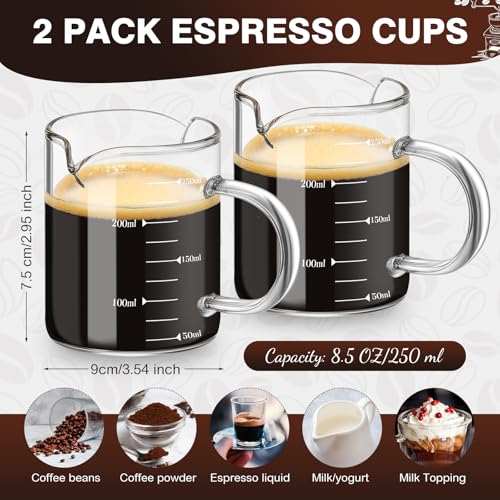 Patelai 2 Pack Espresso Shot Glasses 250ml/8oz with Dual Spouts & Handle
