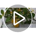 Artificial Lemon Garland with LED String Lights - Faux Greenery Vine Decor
